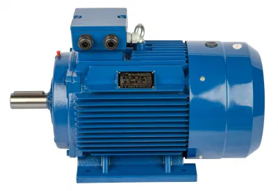 YE3-180L-4-22kw Three Phase Induction Motors WIth CE